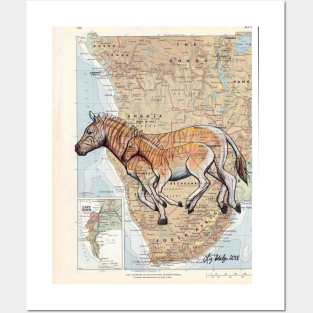 Quagga Horses on Map Posters and Art